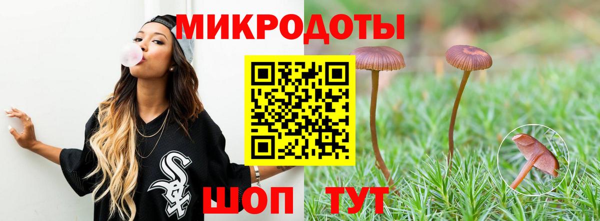 Псилоцибиновые грибы MAGIC MUSHROOMS  Вход с VPN  Карпинск 